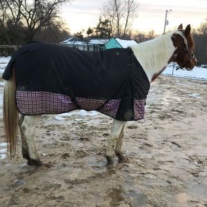 Meet your Posher, Clara